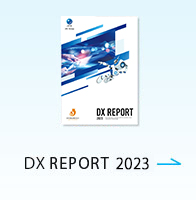 DX REPORT