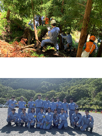 New employees pruned trees in a volunteer activity