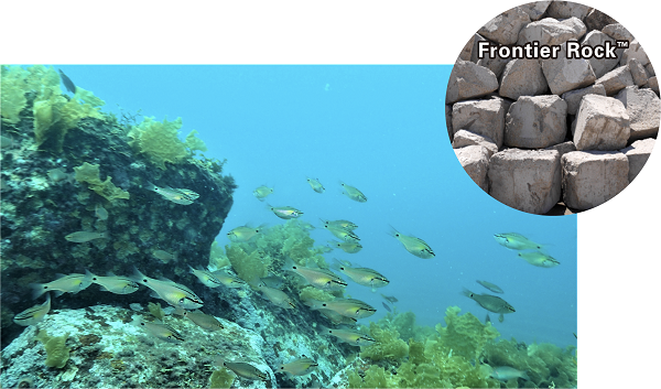 School of fish attracted to the submerged bank made of Frontier Rock®