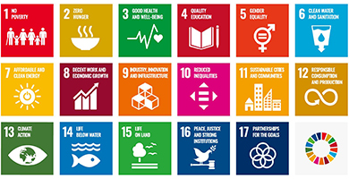 Contribution to the Sustainable Development Goals (SDGs)